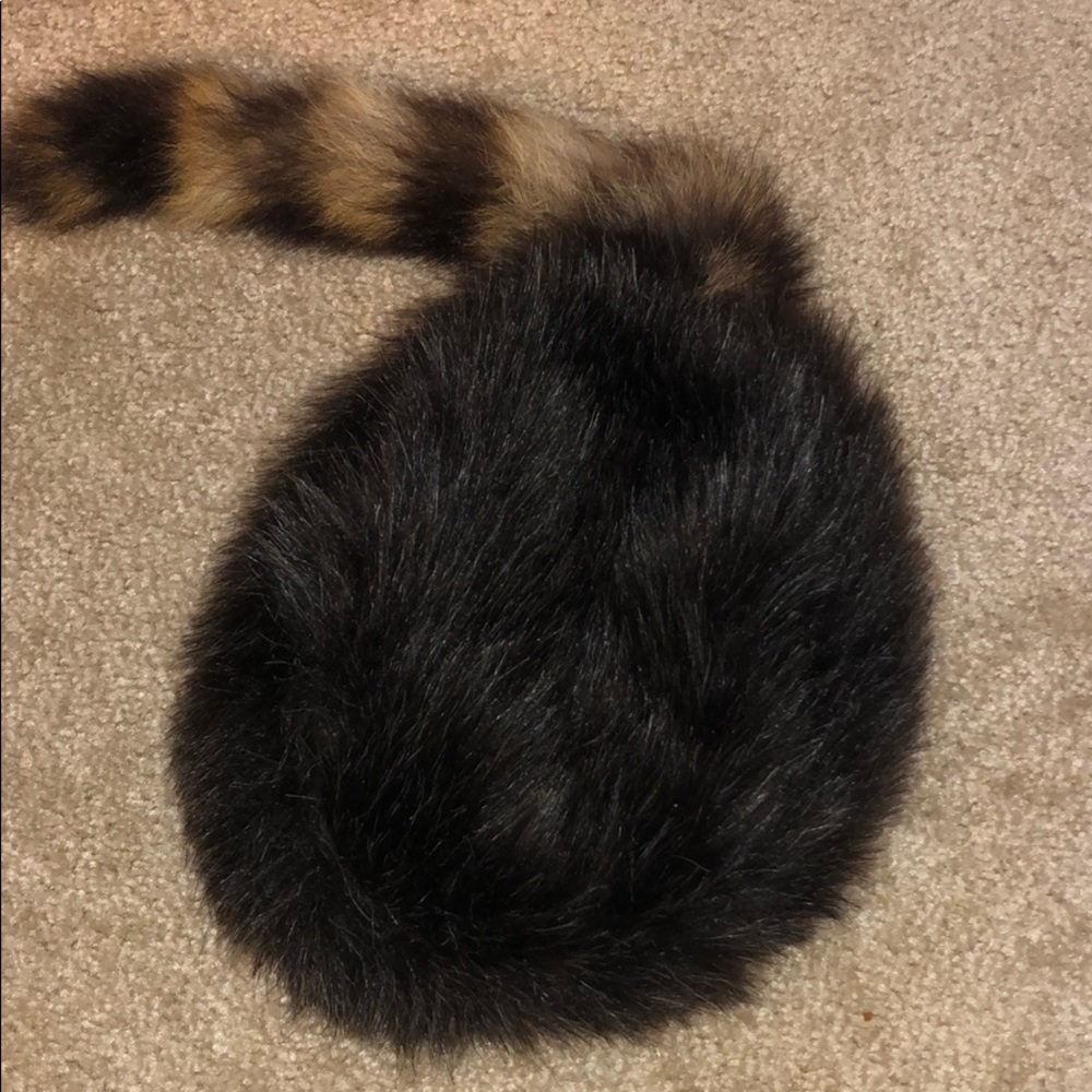 Rare!!! Custom fo raccoon tail hat